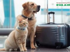 Dịch vụ đặt vé máy bay thú cưng chó mèo đi Atlanta Mỹ EVA Air